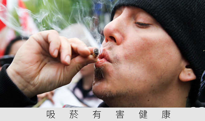 首圖